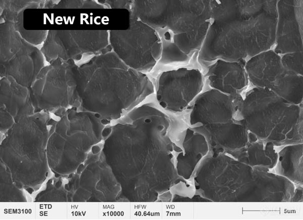 Figura 3 Morfologia microestrutural do filme protéico na superfície do arroz novo e do arroz envelhecido