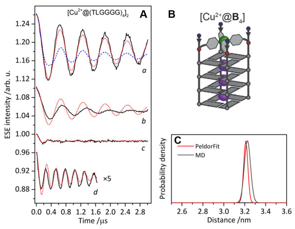 aplicação-Ressonância dupla elétron-elétron na análise da estrutura do DNA-Fig2