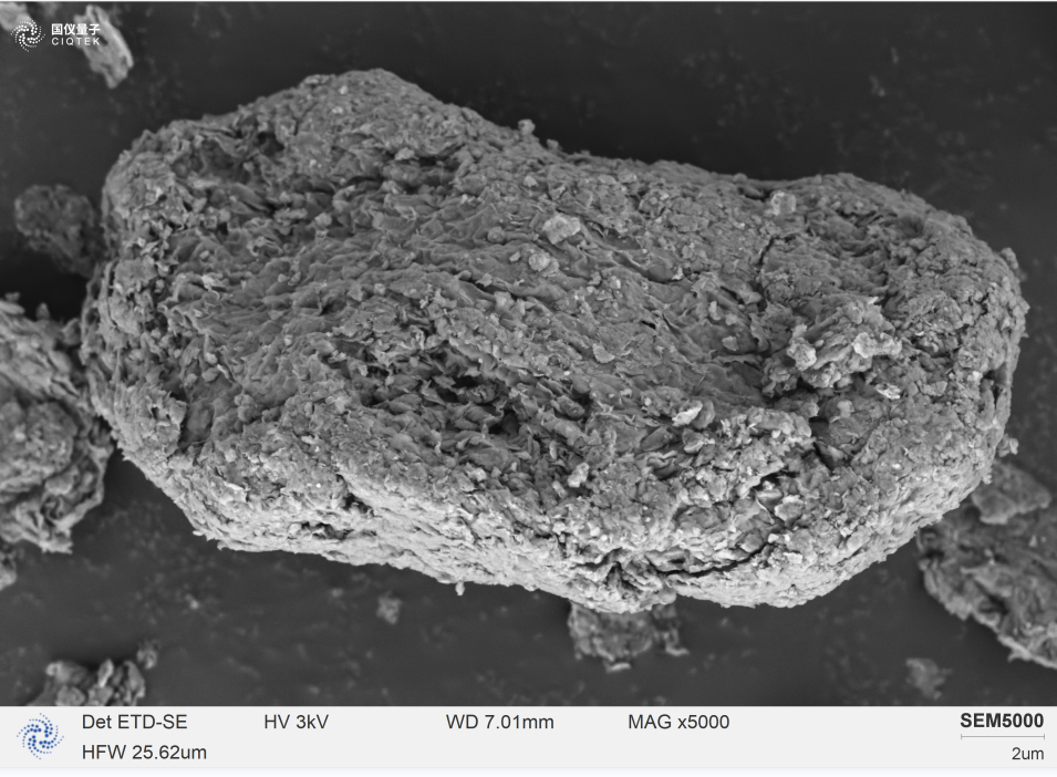 SEM5000 observou massas cristalinas lamelares finas aderidas à superfície da montmorilonita.