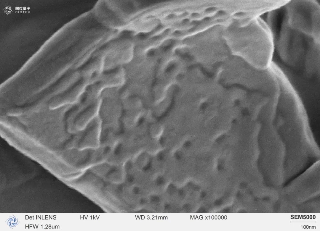SEM5000 observou os flocos de estearato de magnésio em alta ampliação de 100.000