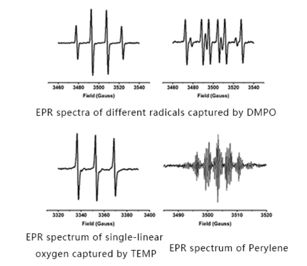 Aplicações de espectrômetro EPR para detecção de radicais livres