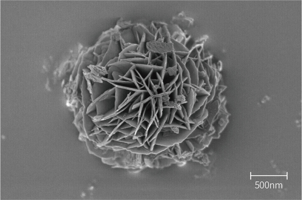 imagens de análise sem - Nanoflower