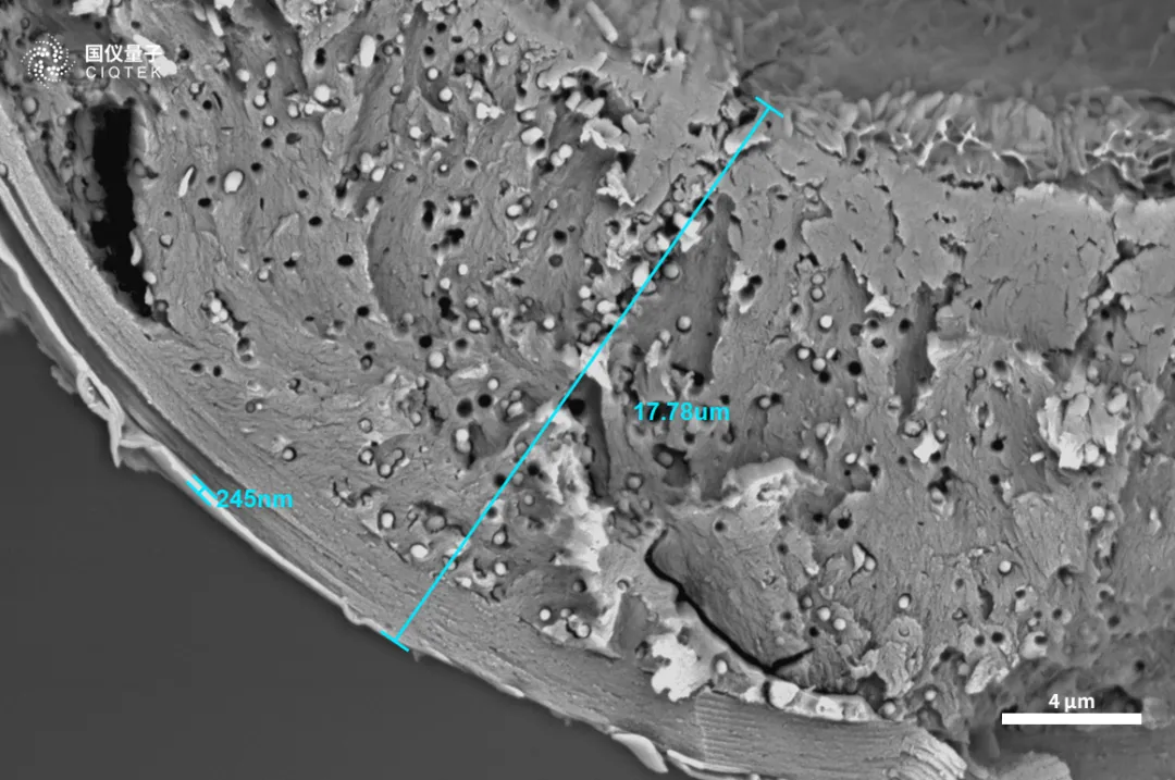 Microscópio eletrônico de varredura de filamento de tungstênio CIQTEK