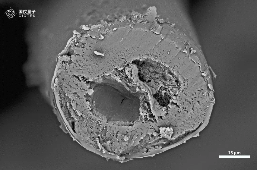 Microscópio eletrônico de varredura de filamento de tungstênio CIQTEK