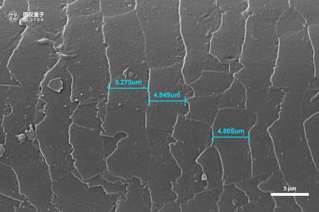 Microscópio eletrônico de varredura de filamento de tungstênio CIQTEK