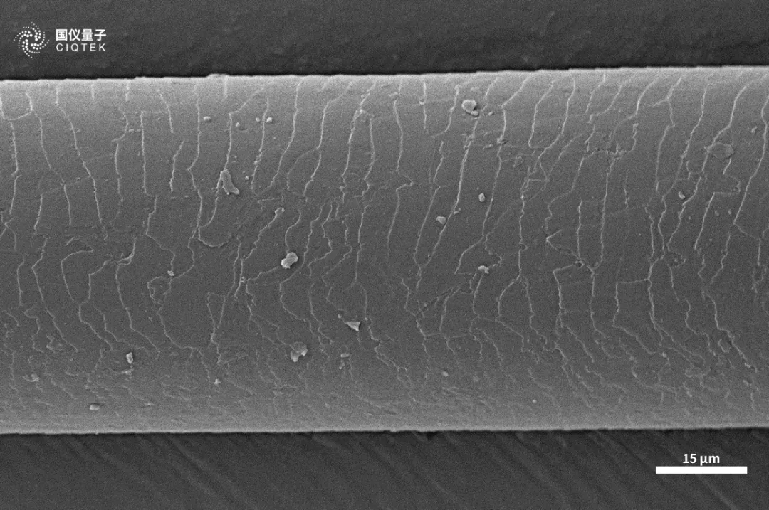 Microscópio eletrônico de varredura de filamento de tungstênio CIQTEK