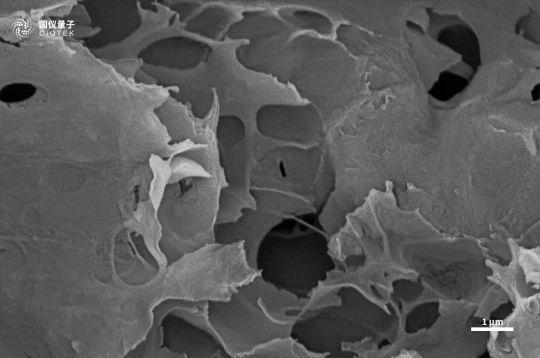 Microscópio eletrônico de varredura de filamento de tungstênio CIQTEK