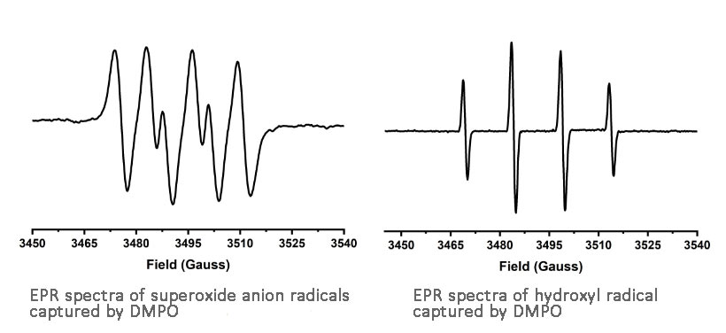 Application of EPR in free radical detection