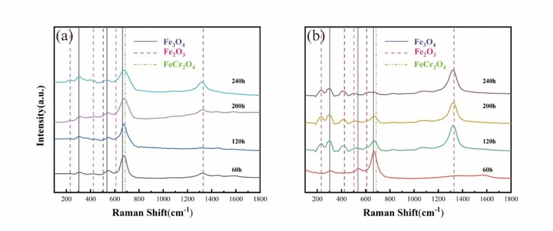 Figure 4. Raman spectra under magnetic field HTS: (a) polished (0.28 T); (b) rough (0.46 T).