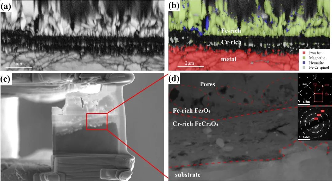 Figure 6. Cross-section microstructure and phase distribution of rough CLF-1 surfaces under magnetic field HTS: (a) EBSD contrast; (b) EBSD phase map; (c) FIB cross-section; (d) dark-field TEM and SAED.
