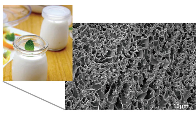 A solução CIQTEK Cryo-SEM permite imagens de alta resolução e sem danos de amostras biológicas