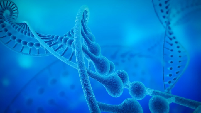 A aplicação da técnica de dupla ressonância elétron-elétron (DEER) na análise da estrutura do DNA