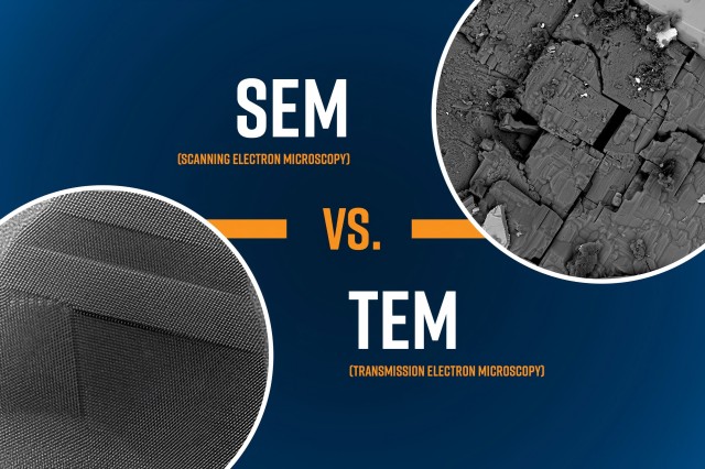 Qual microscópio é mais adequado para você? TEM ou SEM