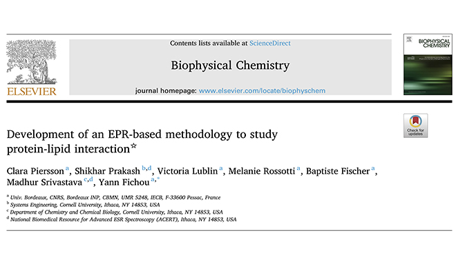 O sistema CIQTEK EPR200M possibilita pesquisa sobre a interação da proteína tau com a membrana, revisada por pares, na Universidade de Bordeaux, França.