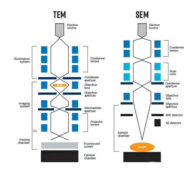 As diferenças entre o microscópio eletrônico de varredura (SEM) e o microscópio eletrônico de transmissão (TEM)